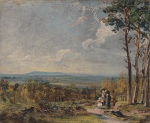 Hampstead Heath Kijkend naar Harrow