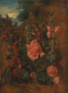 Studie van stokrozen door John Constable