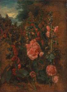 Studie van stokrozen door John Constable