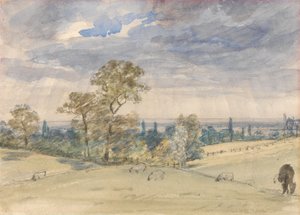 Landschap van Suffolk door John Constable