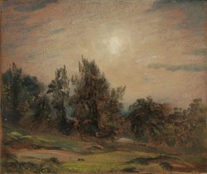 Bomen op Hampstead Heath door John Constable