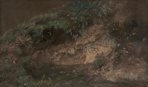 Onderbegroeiing door John Constable