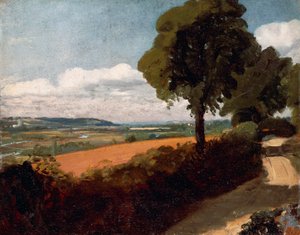 Uitzicht vanaf een weg naar East Bergholt door John Constable