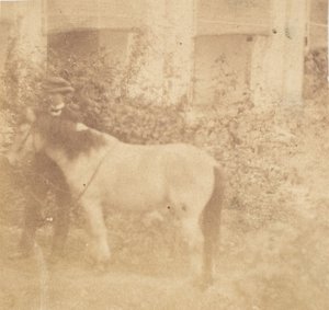 [Man en paard, Government House, Allahabad], 1858 door John Constantine Stanley