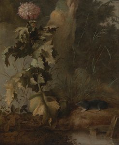 Een Egyptische Papaver en een Watermuis door John Crome