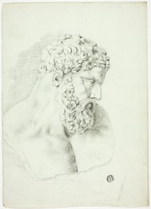 Buste van man met baard