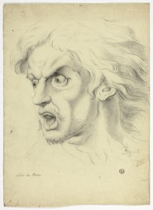 Angst door John Downman