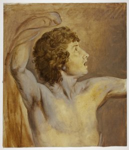 Studie naar de natuur door John Downman