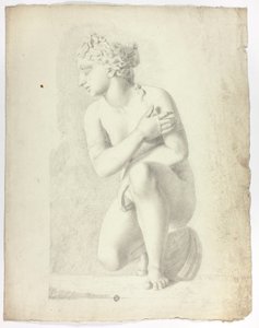 Standbeeld van hurkende Venus