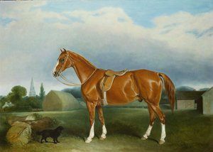 Een Kastanjebruine Jager en een Spaniël bij Boerderijgebouwen door John E. Ferneley