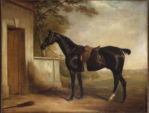Portret van Buckle, het jachthond van First Lord Chesham, 1836 door John E. Ferneley