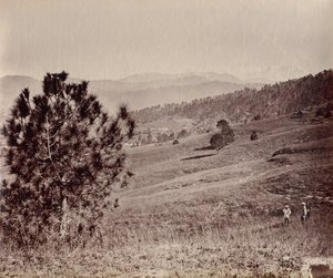 Landschap met boom en drie mannen, India