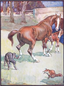 De merrie hief haar hoef op, illustratie voor Reinaert de Vos, uit Dierenlegenden uit vele landen, uitgegeven door Raphael Tuck & Sons Ltd.