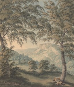 Matlock High Tor, Derbyshire door John Emes