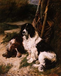 Bruin en Wit en Zwart en Wit Spaniel door John Emms