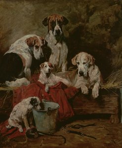 Kennel Metgezellen door John Emms