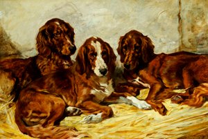 Shot en zijn vrienden - Drie Ierse rood-witte setters, 1876