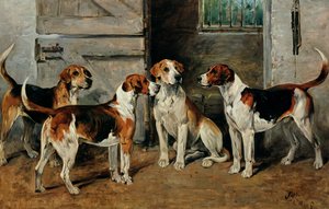 Studie van honden