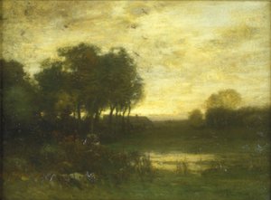Landschap