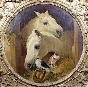 Paarden bij een staldeur