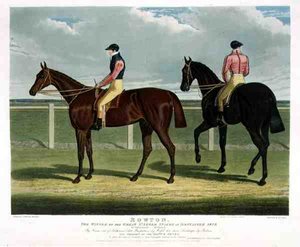 Rowton, de Winnaar van de Grote St. Leger Stakes in Doncaster