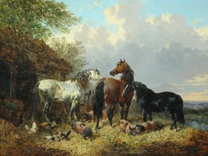 Drie paarden met varkens