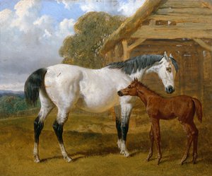 Een Merrie en Veulen voor een Schuur, 1854