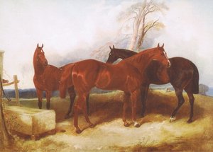 Een groep paarden, uit een onbekend tijdschrift of boek