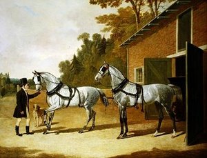 Koetspaarden