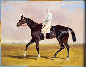Lucetta met J. Robinson, 1834 door John Frederick Herring Senior