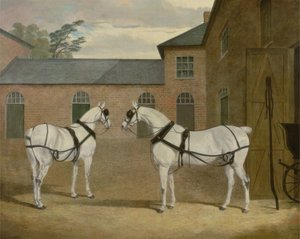 De grijze koetspaarden van de heer Sowerby in zijn koetshuis in Putteridge Bury, Hertfordshire, 1836