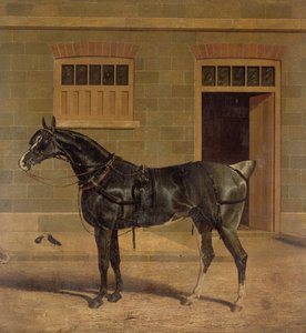 Onbekend schilderij