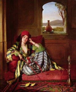 Favoriet van de harem