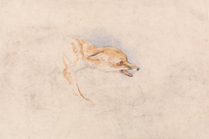 Studie van een hurkende vos, naar rechts kijkend door John Frederick Lewis