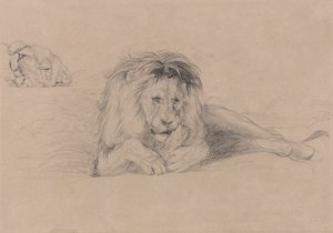 Studie van een leeuw en studie van een leeuwenkop door John Frederick Lewis