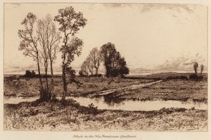 Heide in het New Forest, nabij Lyndhurst