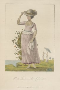 Vrouwelijke quadroonslavin van Suriname door John Gabriel Stedman