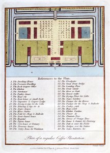 Plan van een Reguliere Koffieplantage door John Gabriel Stedman
