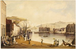 Haven van Dover
