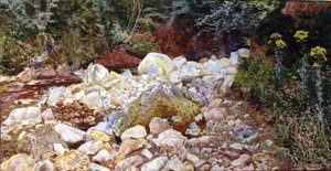 Een Rotsachtige Stroom door John George Sowerby