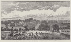 Brockwell Park, nabij Herne Hill en Dulwich, aan te kopen voor het Openbaar Recreatie door John Gilbert