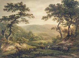 Naaldbos, Hampshire door John Glover