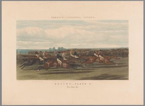 Paardenrace