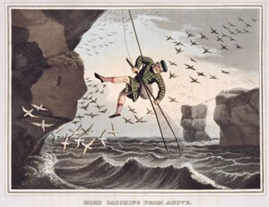 Vogelvangst van boven, gegraveerd door Matthew Dubourg, gepubliceerd door Edward Orme, 1813 door John Heaviside Clark