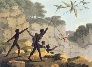 Speerwerpen, aboriginals die vogels jagen uit Nieuw-Zuid-Wales gegraveerd door Matthew Dubourg (f.1813-1820) pub. 1813 door John Heaviside Clark