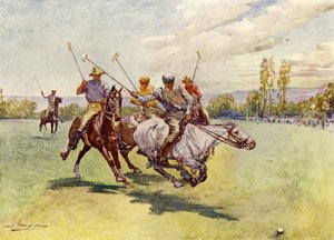 Polo in Zuid-Afrika