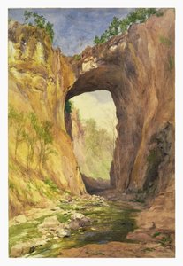 Natuurlijke Brug, Virginia, 1876