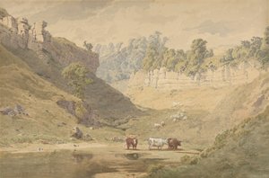 Vee bij een Drinkplaats in een Vallei, 1830-86 door John Henry Mole