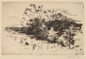 Herfst Avondale door John Henry Twachtman