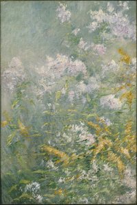 Weidebloemen (Guldenroede en Wilde Aster), c.1892